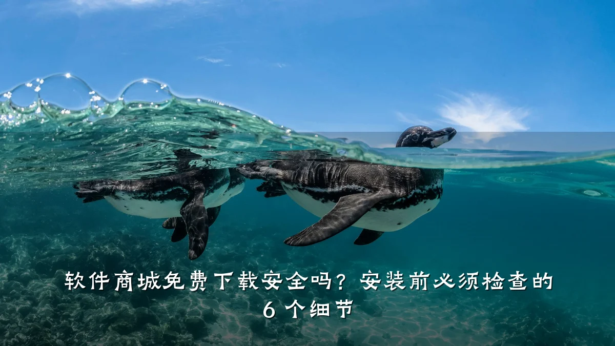 软件商城免费下载安全吗？安装前必须检查的 6 个细节