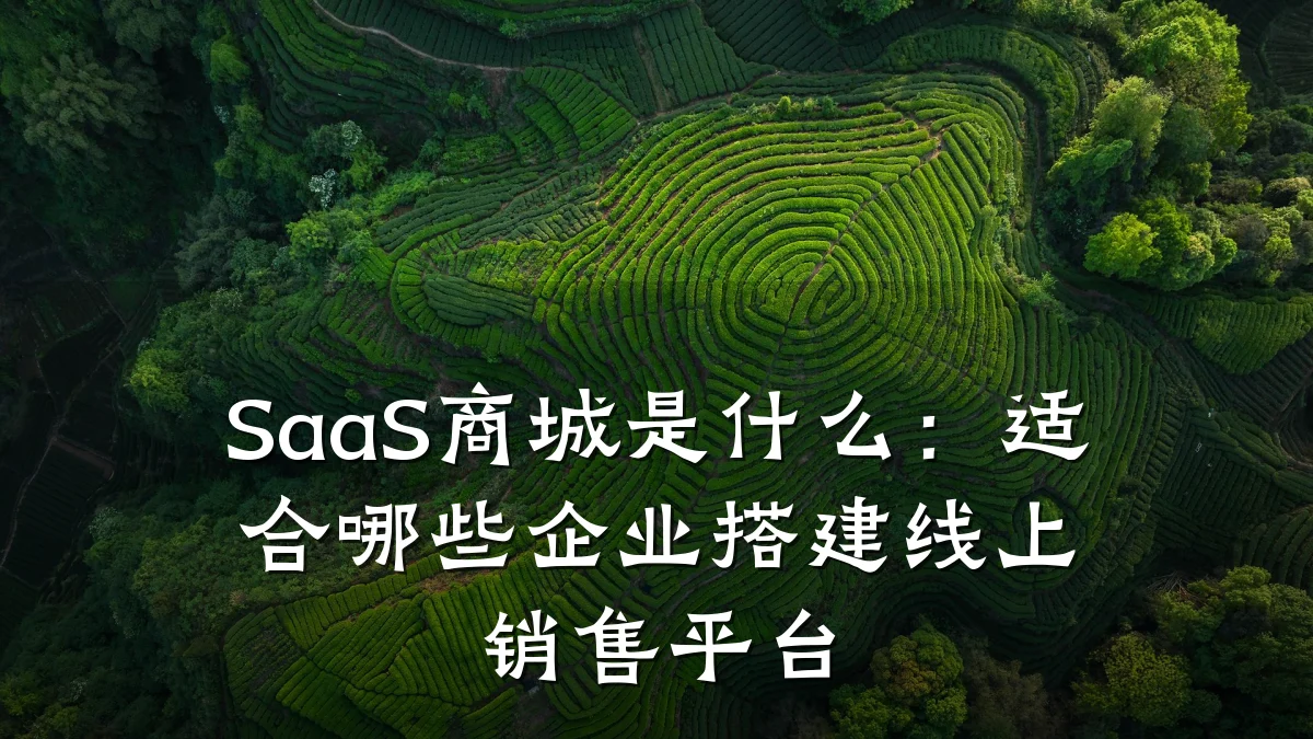SaaS商城是什么:适合哪些企业搭建线上销售平台