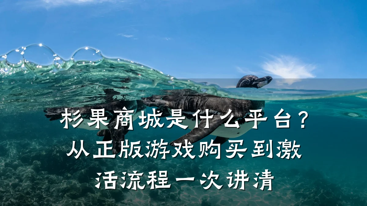 杉果商城是什么平台？从正版游戏购买到激活流程一次讲清