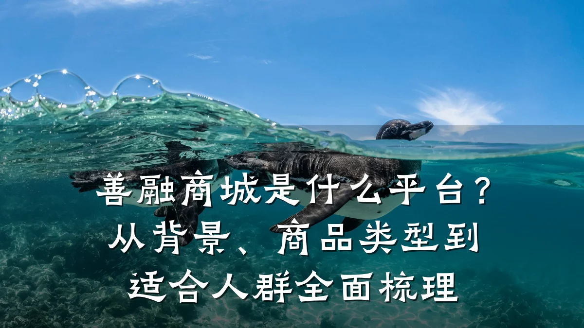 善融商城是什么平台？从背景、商品类型到适合人群全面梳理