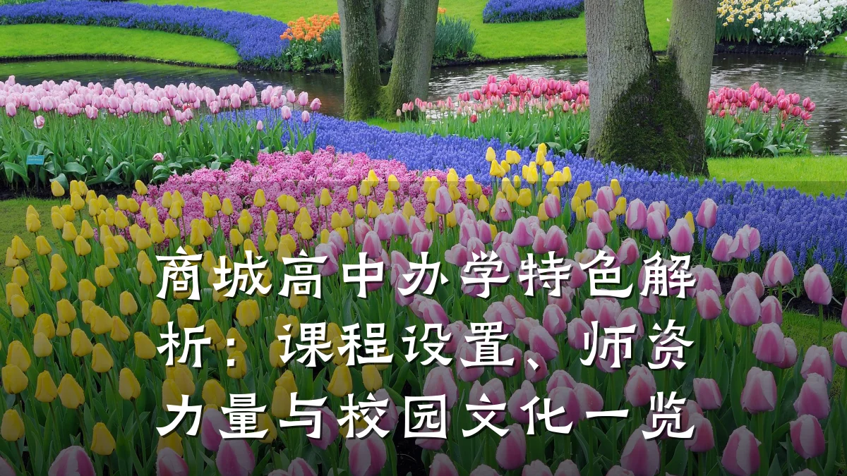 商城高中办学特色解析：课程设置、师资力量与校园文化一览