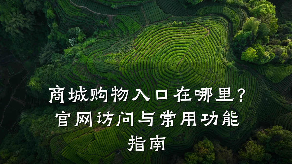 商城购物入口在哪里?官网访问与常用功能指南
