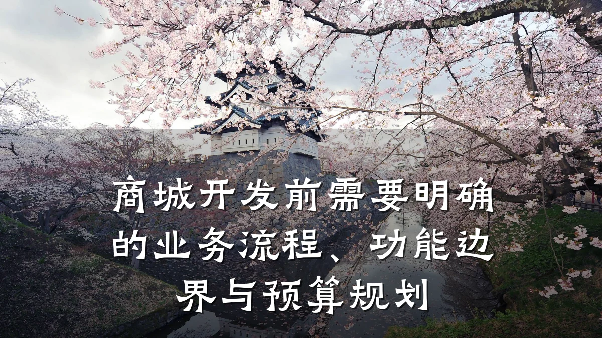 商城开发前需要明确的业务流程、功能边界与预算规划