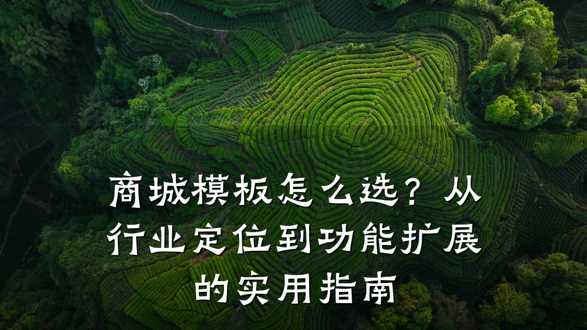 商城模板怎么选？从行业定位到功能扩展的实用指南