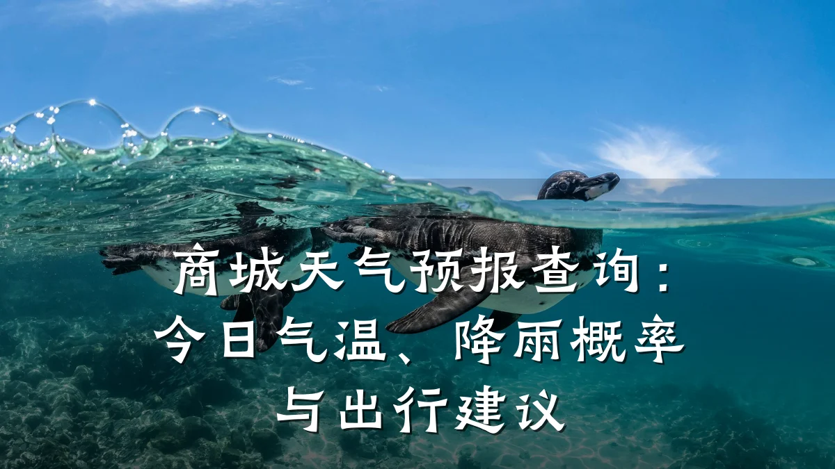 商城天气预报查询：今日气温、降雨概率与出行建议