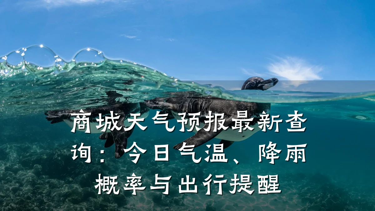 商城天气预报最新查询:今日气温、降雨概率与出行提醒