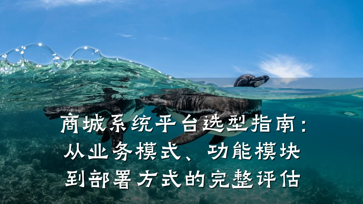 商城系统平台选型指南:从业务模式、功能模块到部署方式的完整评估