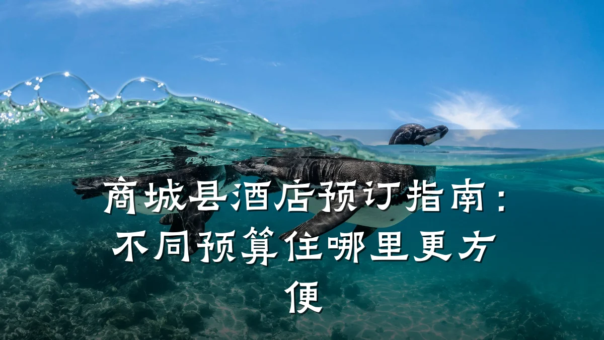 商城县酒店预订指南：不同预算住哪里更方便