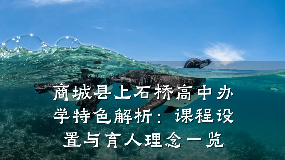 商城县上石桥高中办学特色解析：课程设置与育人理念一览