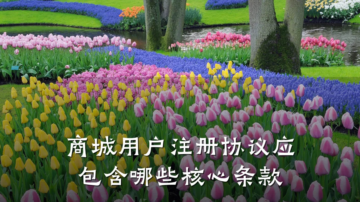 商城用户注册协议应包含哪些核心条款