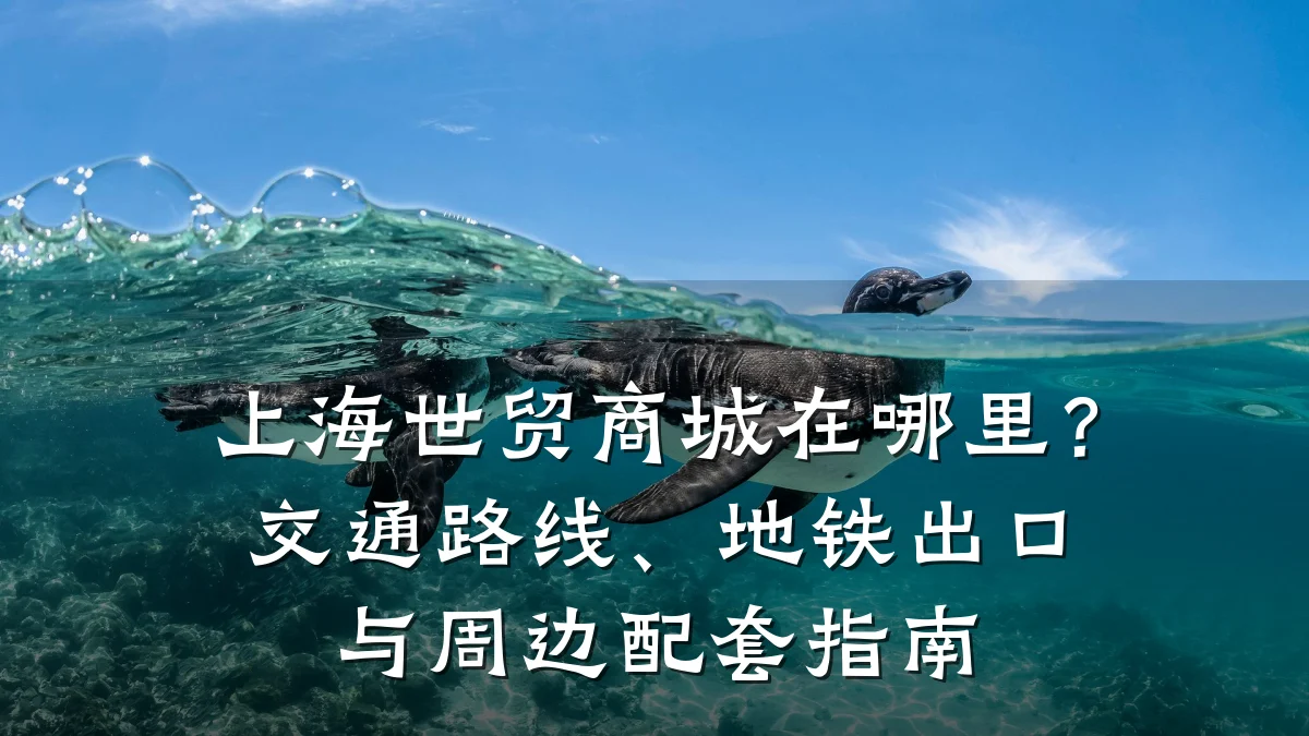 上海世贸商城在哪里？交通路线、地铁出口与周边配套指南