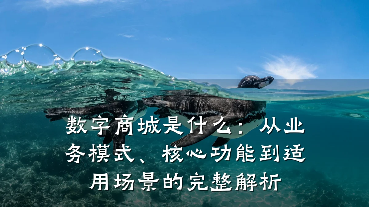 数字商城是什么:从业务模式、核心功能到适用场景的完整解析