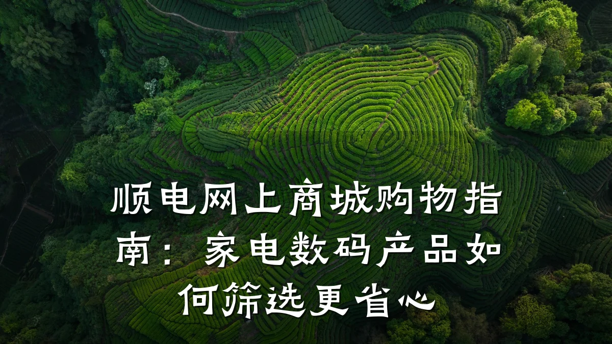 顺电网上商城购物指南：家电数码产品如何筛选更省心
