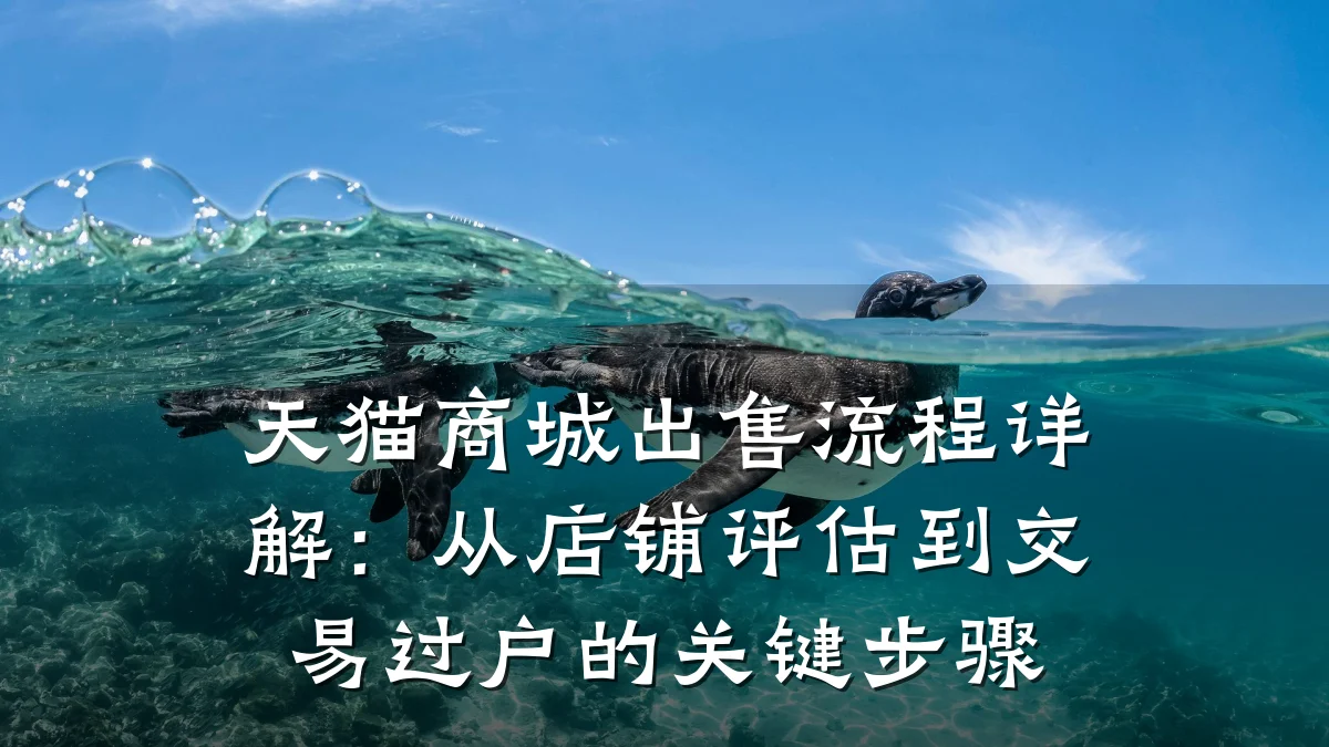 天猫商城出售流程详解：从店铺评估到交易过户的关键步骤