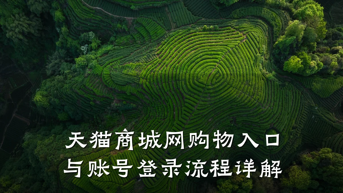 天猫商城网购物入口与账号登录流程详解