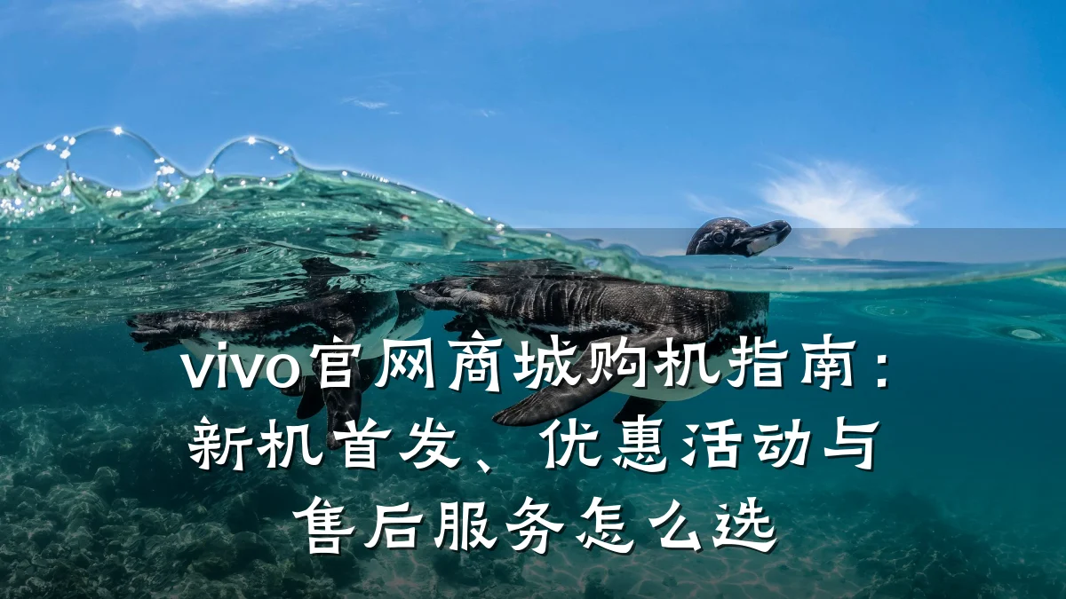 vivo官网商城购机指南:新机首发、优惠活动与售后服务怎么选