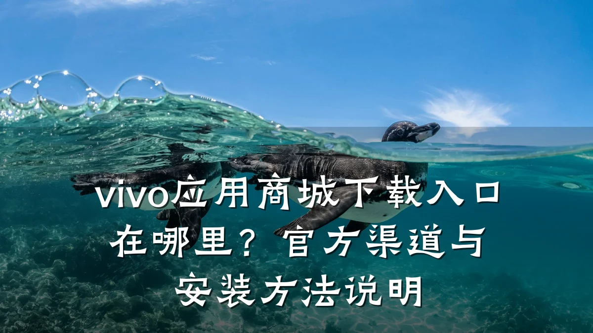 vivo应用商城下载入口在哪里？官方渠道与安装方法说明