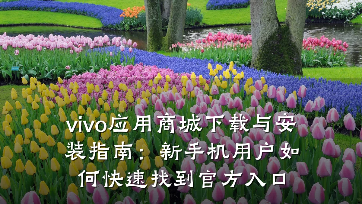 vivo应用商城下载与安装指南：新手机用户如何快速找到官方入口