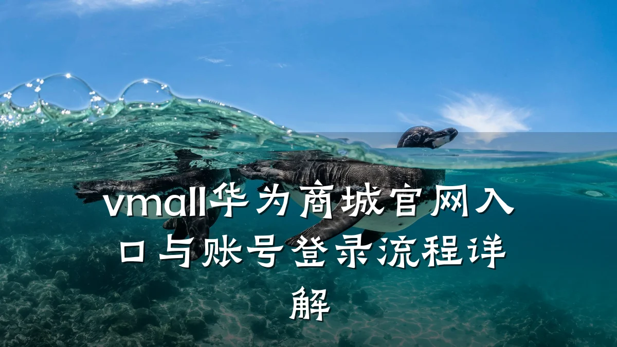 vmall华为商城官网入口与账号登录流程详解