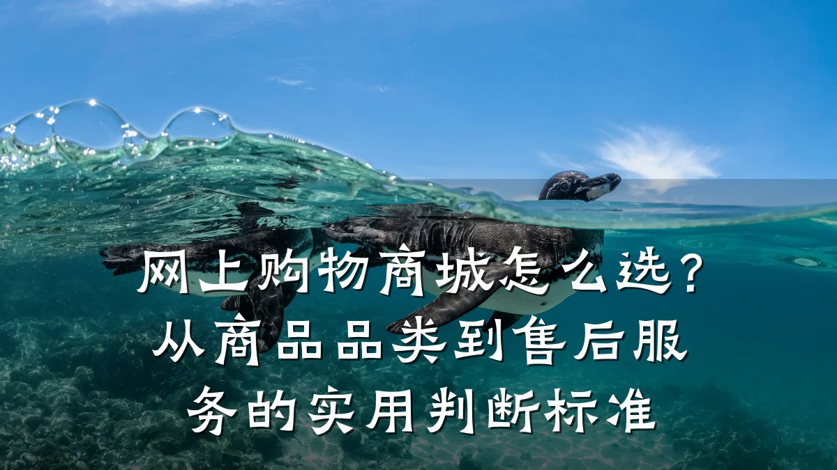 网上购物商城怎么选？从商品品类到售后服务的实用判断标准