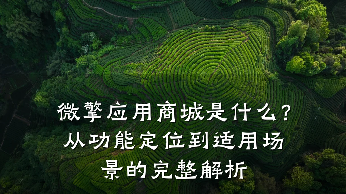 微擎应用商城是什么？从功能定位到适用场景的完整解析