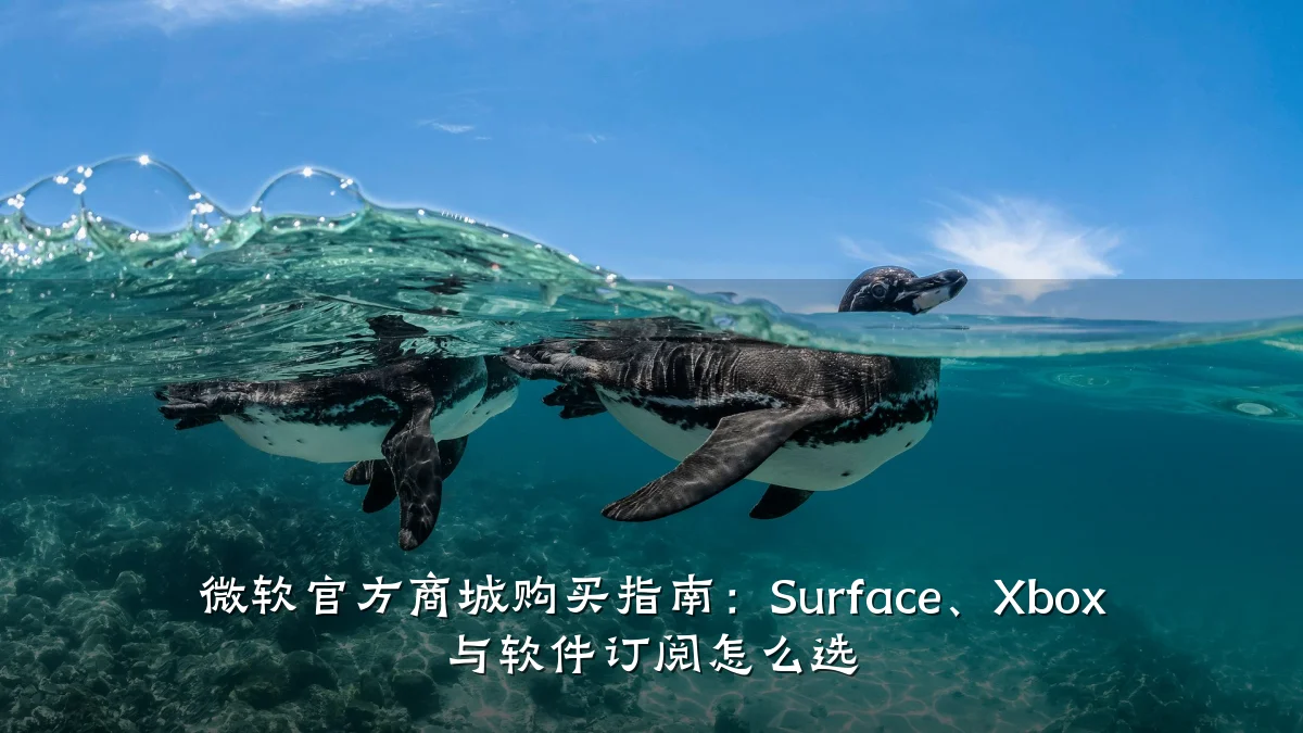 微软官方商城购买指南:Surface、Xbox 与软件订阅怎么选
