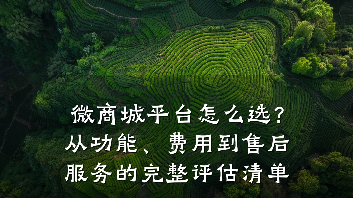 微商城平台怎么选？从功能、费用到售后服务的完整评估清单