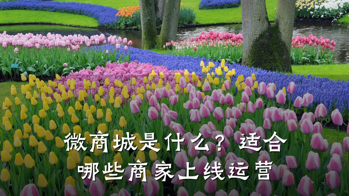 微商城是什么？适合哪些商家上线运营