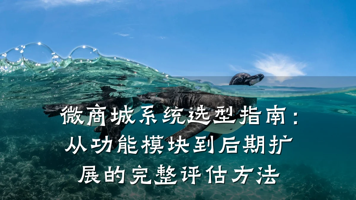 微商城系统选型指南:从功能模块到后期扩展的完整评估方法