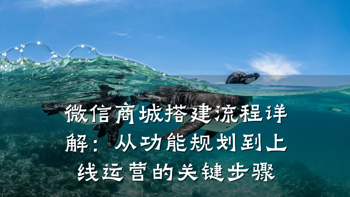 微信商城搭建流程详解:从功能规划到上线运营的关键步骤