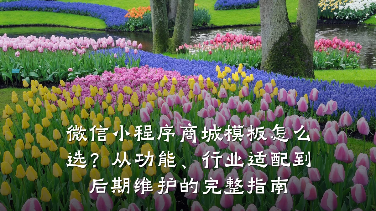 微信小程序商城模板怎么选？从功能、行业适配到后期维护的完整指南