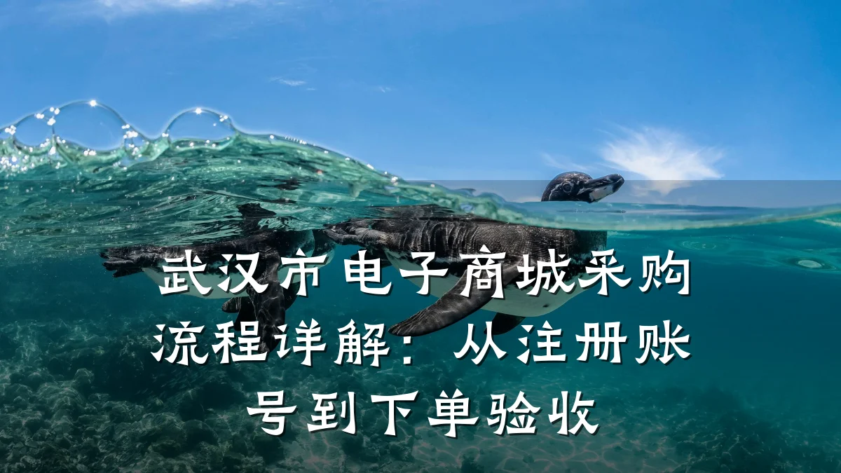 武汉市电子商城采购流程详解：从注册账号到下单验收
