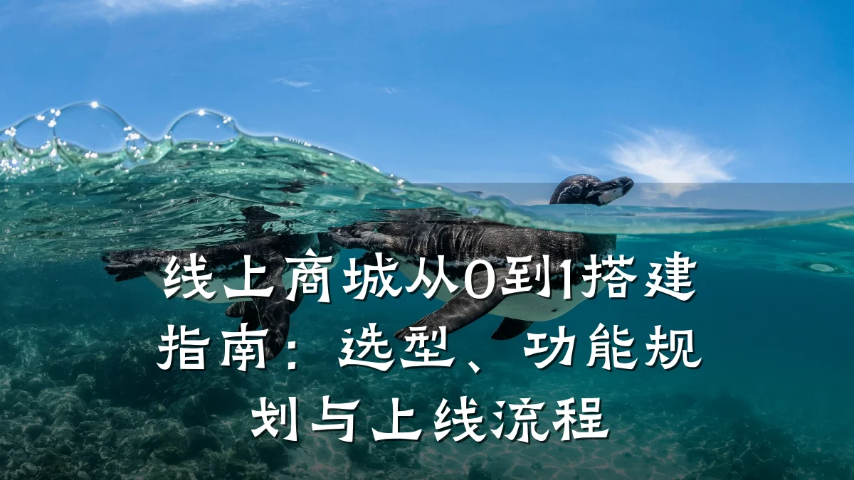 线上商城从0到1搭建指南：选型、功能规划与上线流程