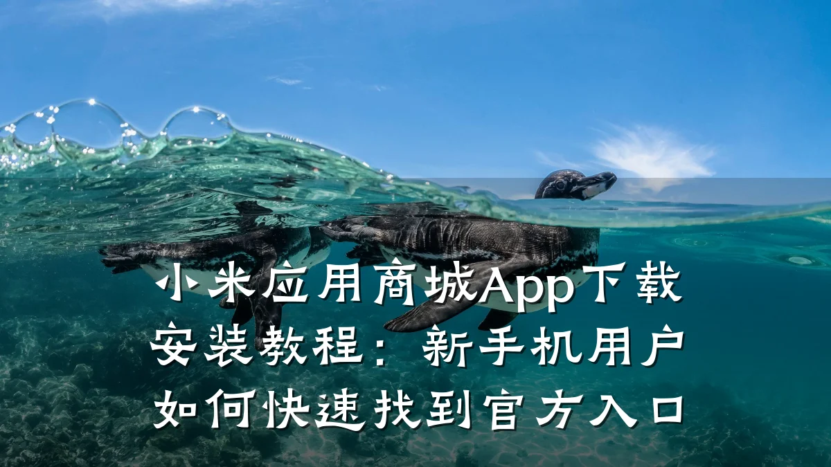 小米应用商城App下载安装教程：新手机用户如何快速找到官方入口