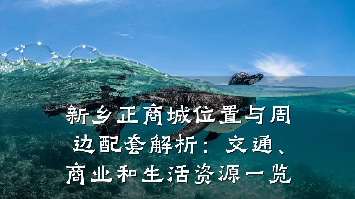 新乡正商城位置与周边配套解析:交通、商业和生活资源一览