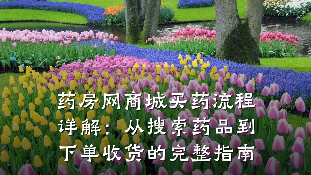 药房网商城买药流程详解:从搜索药品到下单收货的完整指南