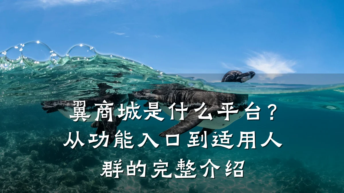翼商城是什么平台?从功能入口到适用人群的完整介绍