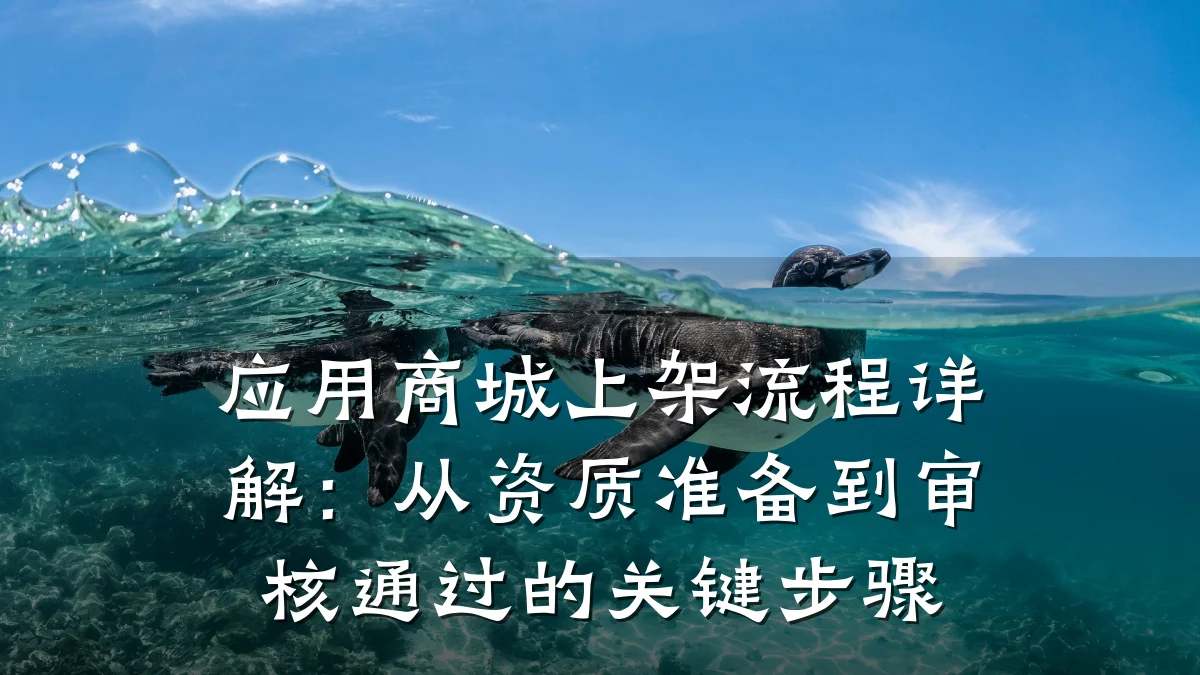 应用商城上架流程详解:从资质准备到审核通过的关键步骤