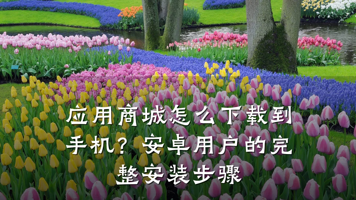 应用商城怎么下载到手机?安卓用户的完整安装步骤