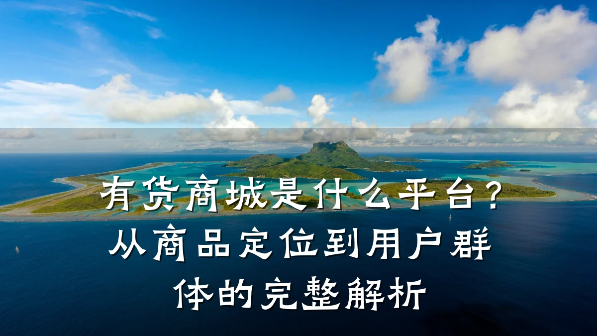 有货商城是什么平台？从商品定位到用户群体的完整解析