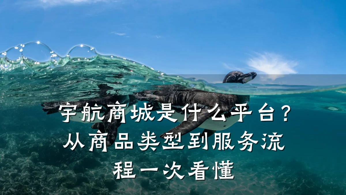 宇航商城是什么平台？从商品类型到服务流程一次看懂