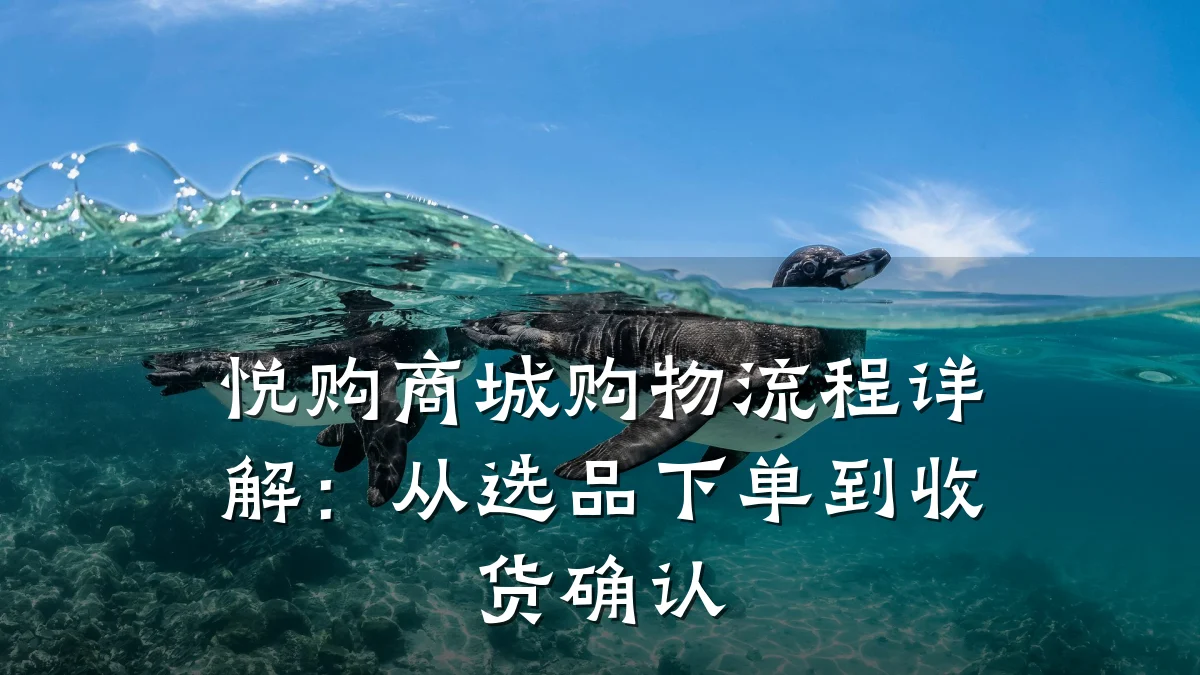 悦购商城购物流程详解:从选品下单到收货确认