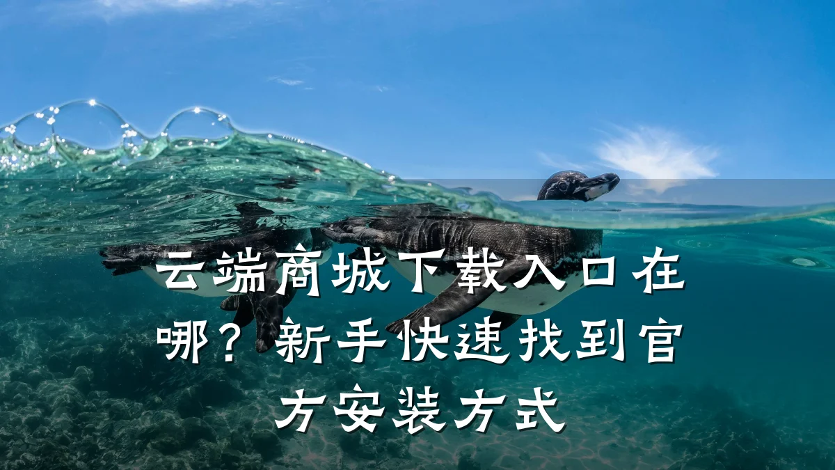 云端商城下载入口在哪?新手快速找到官方安装方式