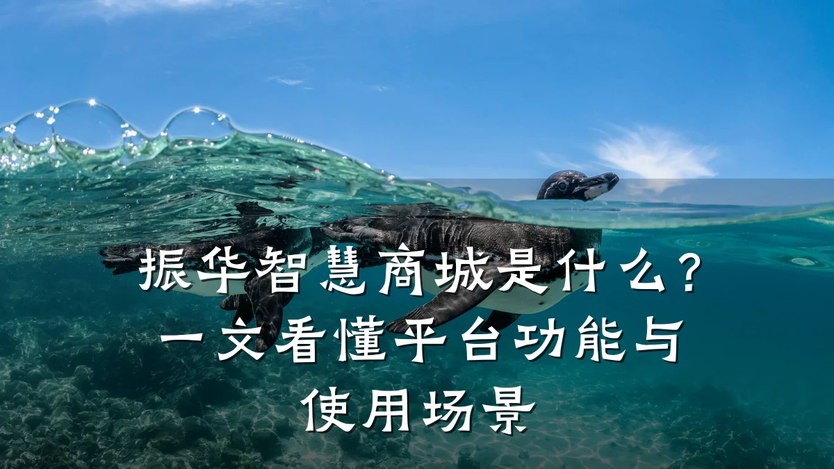 振华智慧商城是什么？一文看懂平台功能与使用场景
