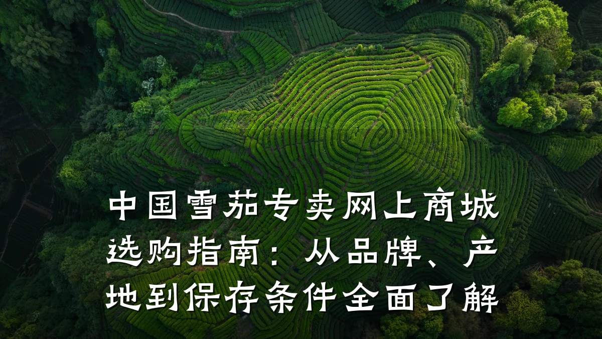 中国雪茄专卖网上商城选购指南:从品牌、产地到保存条件全面了解