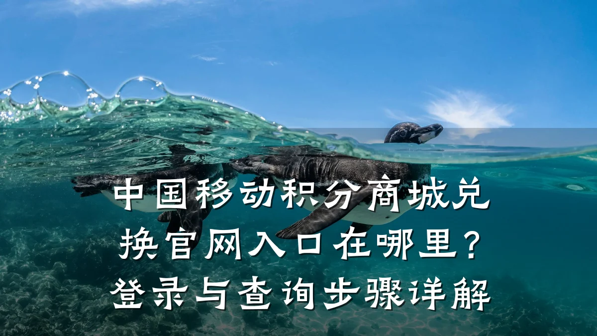 中国移动积分商城兑换官网入口在哪里？登录与查询步骤详解