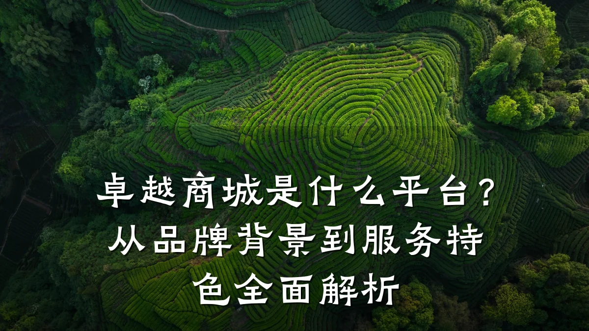 卓越商城是什么平台？从品牌背景到服务特色全面解析