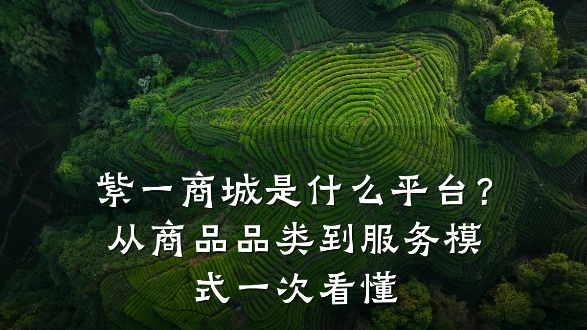 紫一商城是什么平台?从商品品类到服务模式一次看懂