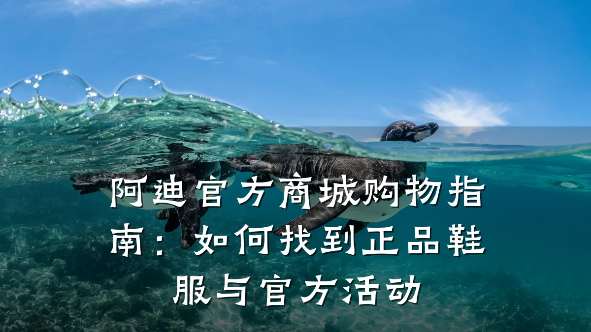 阿迪官方商城购物指南:如何找到正品鞋服与官方活动