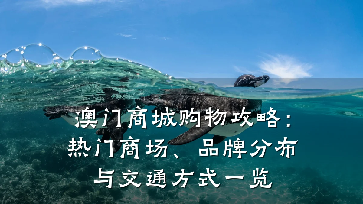 澳门商城购物攻略：热门商场、品牌分布与交通方式一览